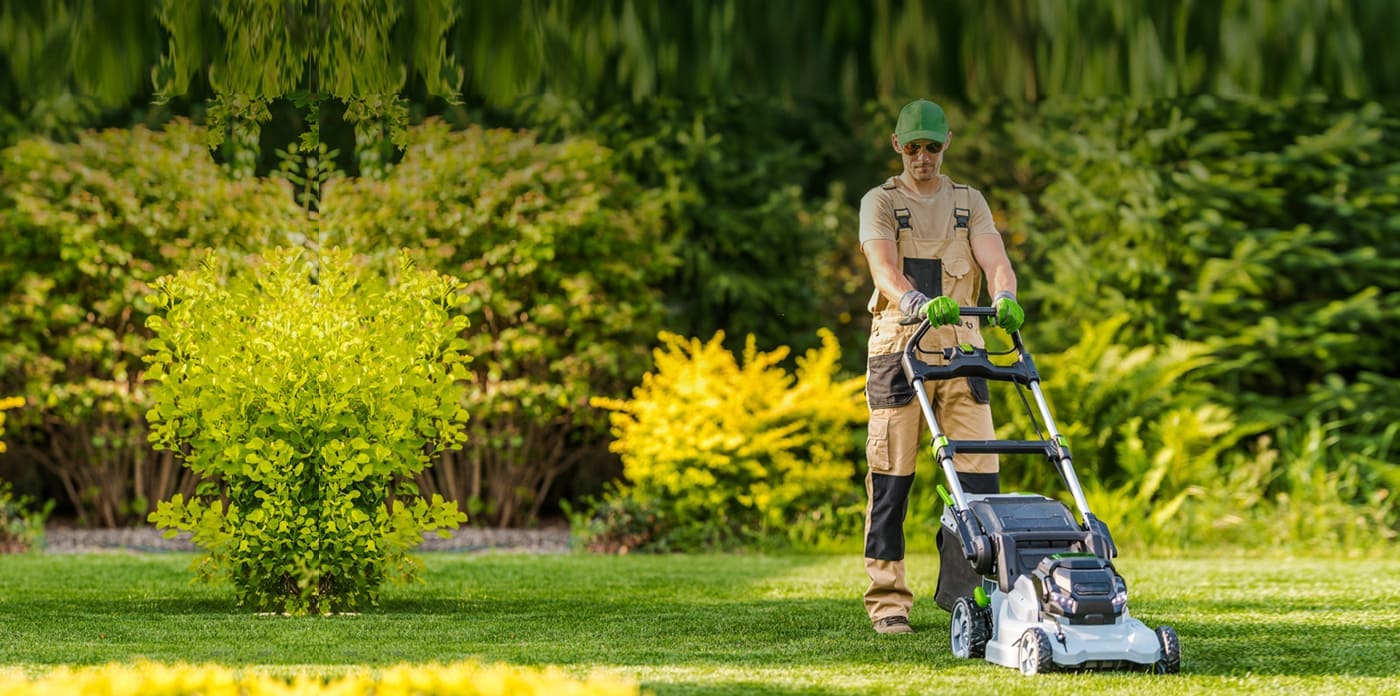 Zaufaj nam i z mień swoje otoczenie