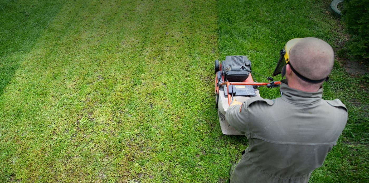Zaufaj nam i z mień swoje otoczenie